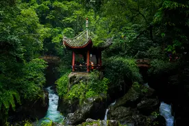 如果说攀登峨眉山是一种修行，那么在金顶就是洗涤灵魂图片