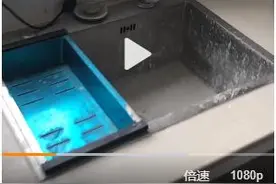 大学生放假回家发现爸妈搬家没通知他，反映了三大现实问题图片