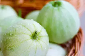 吃瓜去！贵港这里的香瓜熟啦图片