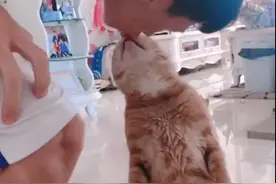 女子提前下班，看见丈夫跟猫亲热不想说话了：你俩过日子去吧图片