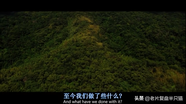 《超体》是烂片，还是神作？寡姐为什么吻警察，为什么变成U盘？