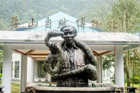 1996年，莽山烙铁头被炒作到一百万一条，为何？反应太迟让人忽视图片