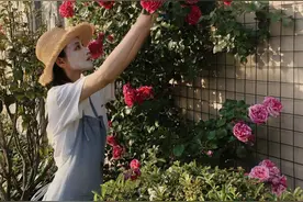 享受生活！张馨予种花晒自拍，人比花娇，网友：爱情的滋润图片