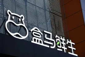 用钉钉下载文件到手机，盒马设计师被“炒鱿鱼”！上法庭叫屈图片
