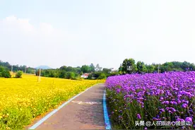 值得收藏：南京江宁70个旅游景点欢迎您，国庆期间够你玩嗨的图片