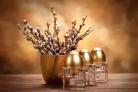 超越4.025%的年金险，目前只有三款图片