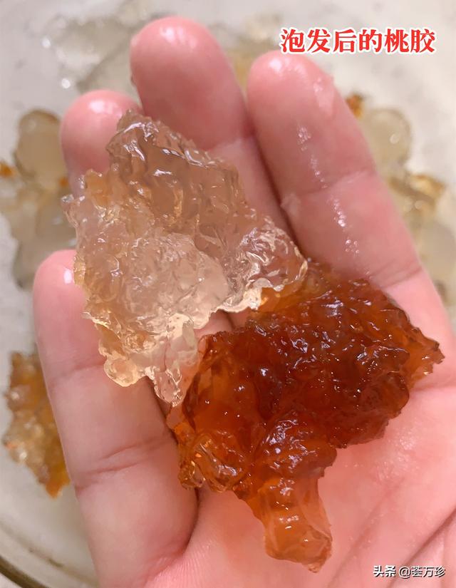 桃胶雪燕皂角米煮好了能放多久 2026年桃胶雪燕皂角米煮好了可以放几天