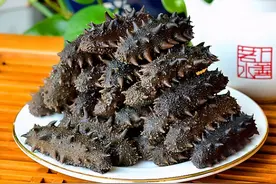 海参的价格是怎么算的？市场上淡干海参的价格多少钱一斤？图片