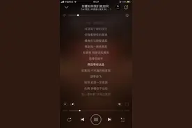 大湾区组合也太牛了吧图片