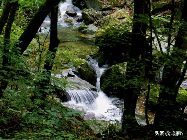重走抗联路——本溪关门山森林公园鸣翠谷景区抗联秘营