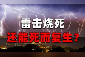 2003年安徽村民遭雷击烧死，入土两年后死而复生，警察：死者是谁图片