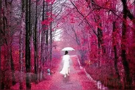 逗女生开心的幽默套路图片