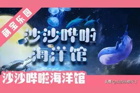 2020年太原华宇百花谷沙沙哗啦海洋馆开放了（附表演时间）图片