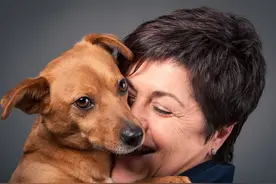 狗狗7种肢体动作，背后的含义你知道吗？图片