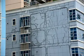 楼上漏水楼下遭殃 租户房东谁来赔？图片