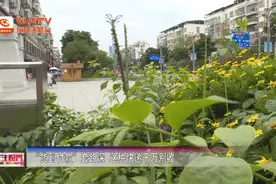 ＠仪陇人，“货到付款”套路深　这种快递千万别收图片