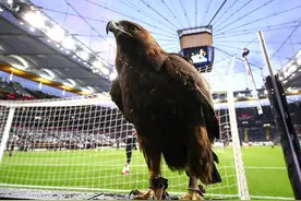 德甲5月16日空场重启，吉祥物却不复工，非常时期也是没办法的事图片