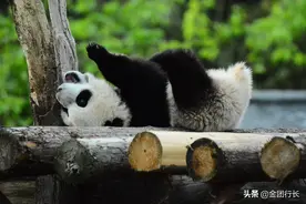 翻来覆去就是睡不着图片