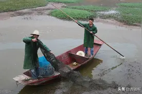 高温季节池塘生产管理技术图片