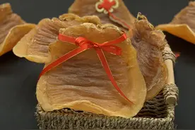 入门必备｜为什么鱼胶那么贵？原来决定鱼胶价格的因素是这些图片