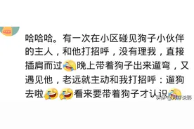 先认狗后认人，我们家狗子成了出入通行证，远比我刷脸来的实际图片
