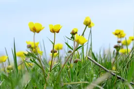 果子沟大桥使得老国道上的赛果景区再次走红，收费后你还会来吗？图片