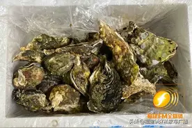 当场吐了！福州李女士9.9元网购生蚝，里面长满虫子？图片