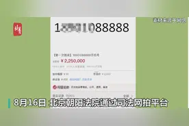 靓号拍出天价！尾号“88888”手机号码司法拍卖落槌 225万成交图片