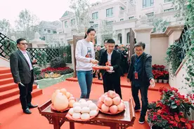 女排富婆们的生活！开发商赠送朱婷大别墅，张常宁开百万豪车图片