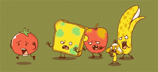 海参花胶骨头可以放海底椰吗 2025年海参花胶骨头煲汤