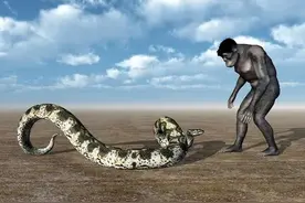 人类进化靠谱吗图片