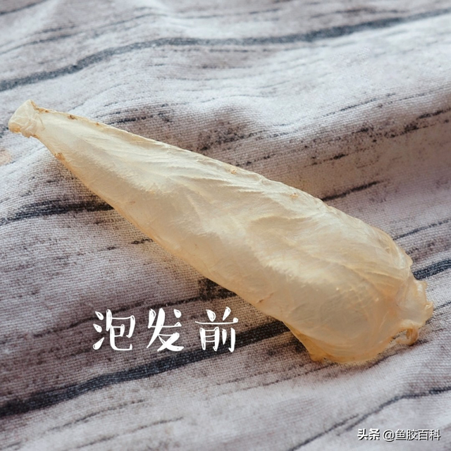 印尼的花胶好吗 2026年印尼花胶怎么样