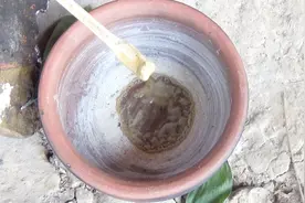 野外生存哥，在野外缺少盐的摄入，究竟怎样用原始技术提炼出盐呢