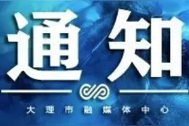 关于开展2020年度大理市灵活就业人员社会保险补贴发放工作的通知图片
