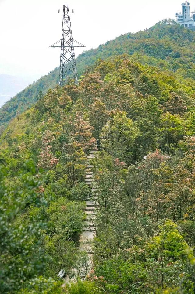 深圳值得征服的10座山，你去过几座？