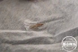 江西宝妈唯品会上网购“爽然牌”尿不湿 惊现活体蛆虫？图片