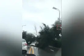 封闭！临渭区多处道路受损！渭河北大堤排碱沟外溢，最新限行情况，6县市区受灾，损失约7278万元图片