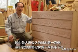 桐木：在日本被当“宝”，在中国却被当“草”图片