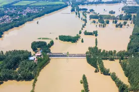 水位逼近10米！周口扶沟县摆渡口大闸8个闸孔全部打开，河面已与附近田地持平图片