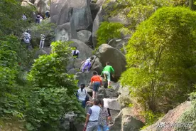 【云观赏】景区轻松游！怪石岭的春天，每一帧都好看图片