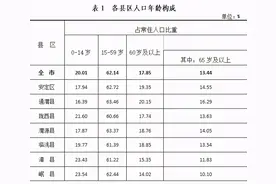定西市各县区人口年龄构成图图片