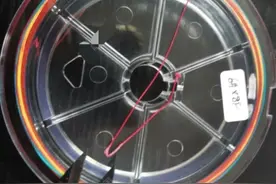 钓鱼人，如何辨别真假大力马线？图片