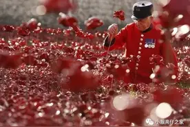 除了购物，双十一更重要的一面，你了解吗？图片