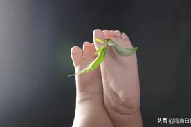 便民！海南推动实现新生儿“出生一件事”线上全流程办理图片