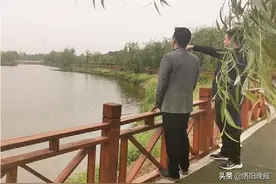 洛龙区利用伊河李楼湿地让中水得到再次净化图片