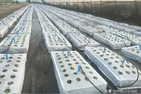 种植芯设计及工作原理，阳台模块化农业基础单位图片