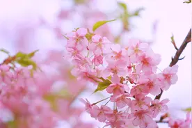 发Offer之前的3个注意点图片