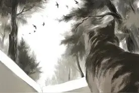 《弃猫》：村上春树终于写了他绝少提及的父亲和战争话题图片