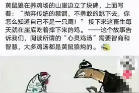 这几十个资金盘项目要远离图片