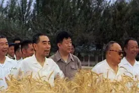 镇边将军张仲瀚，革命一生，无儿无女，却一手绘制出天山宏伟蓝图图片